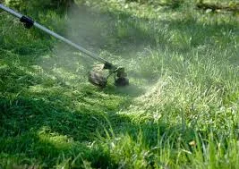 Уборка и расчистка участка