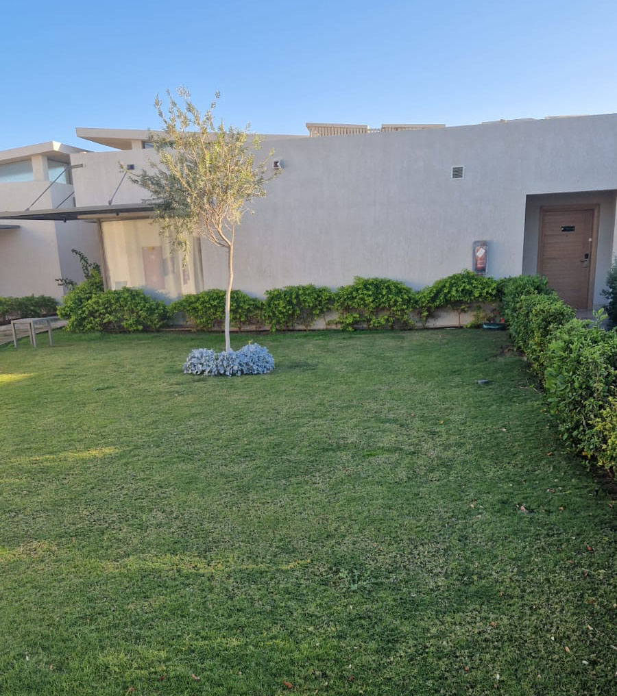 Устройство посевного газона