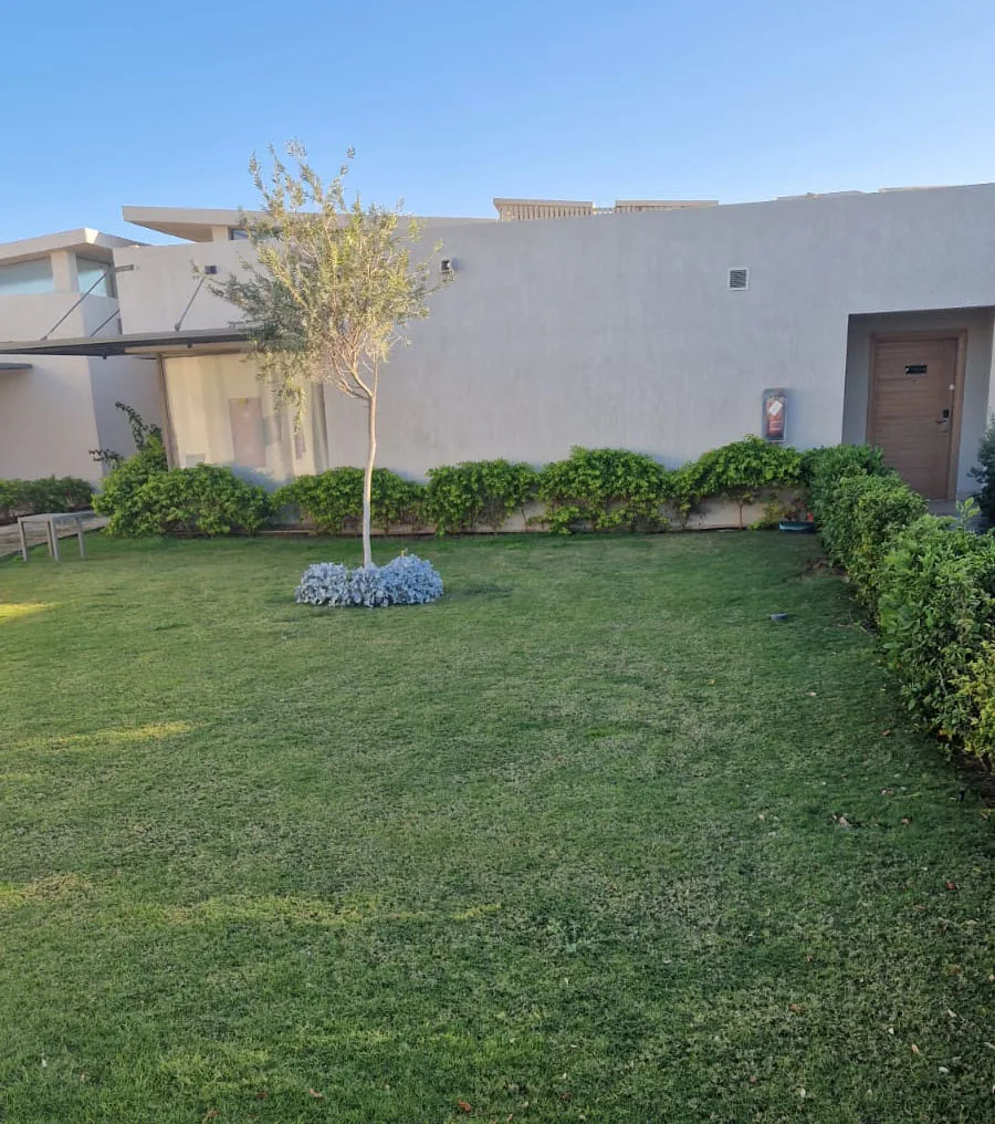 Устройство посевного газона