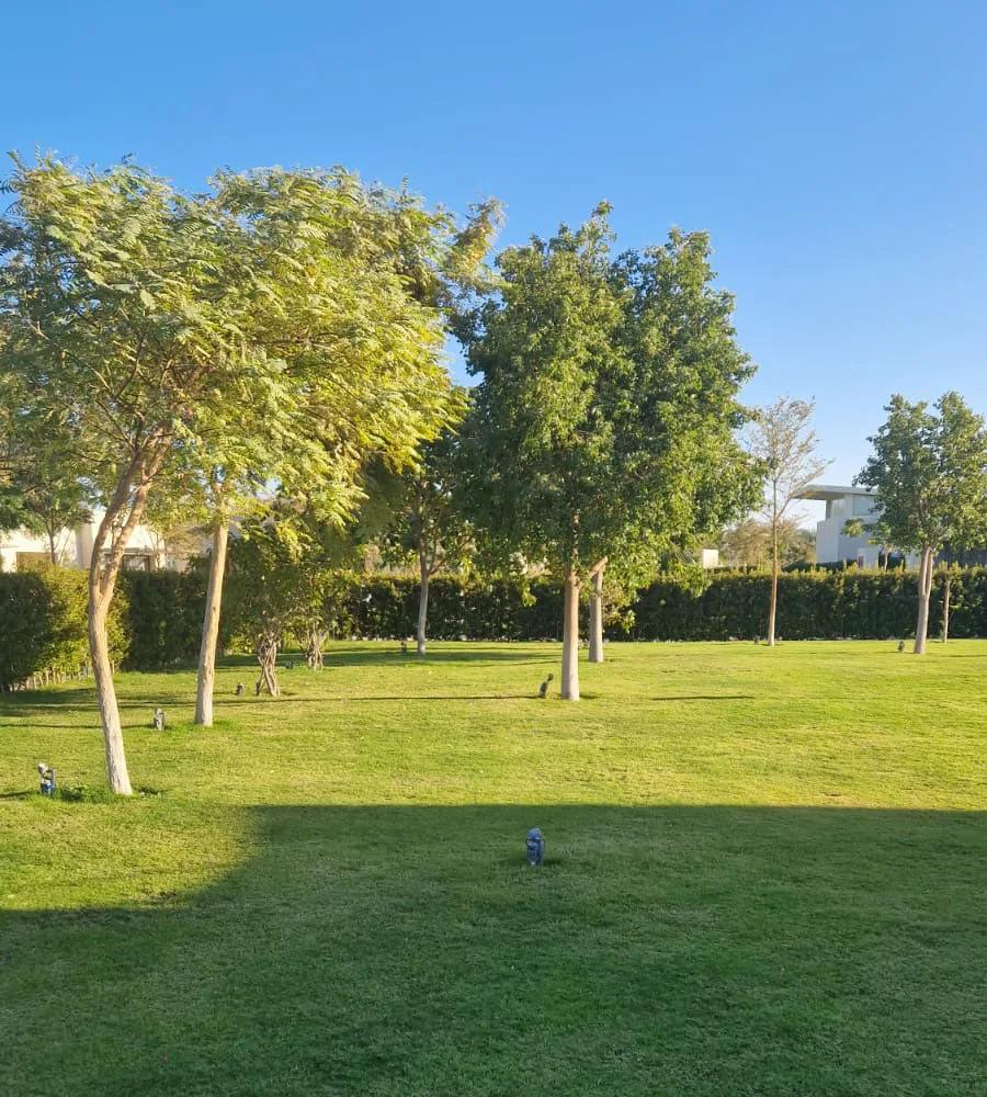 Устройство посевного газона