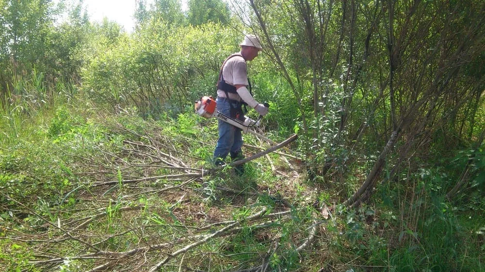 Расчистка участка