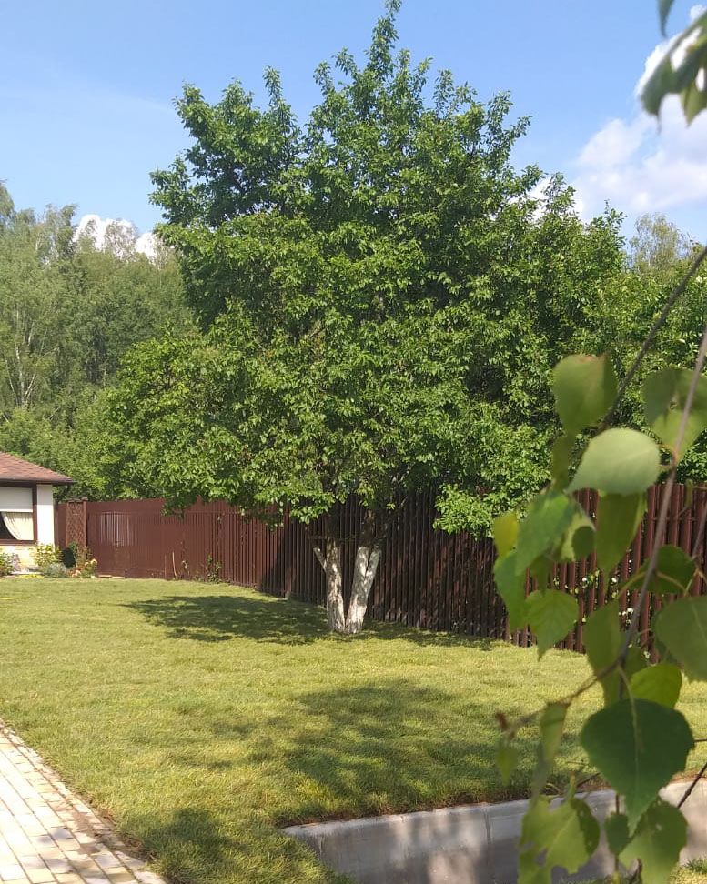 Укладка рулонного газона