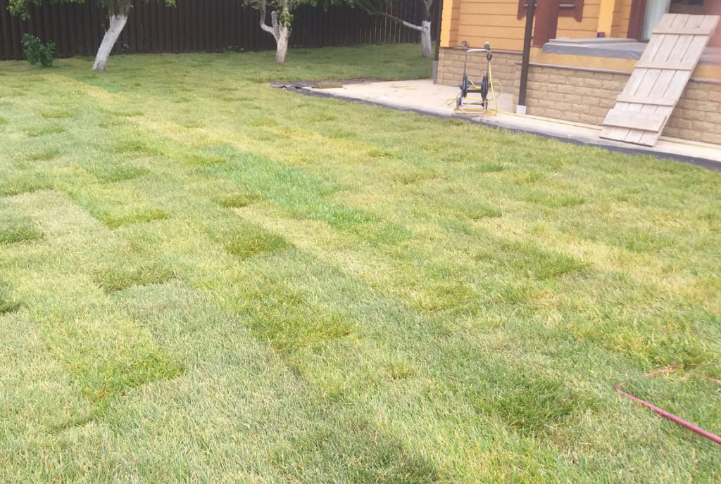 Укладка рулонного газона