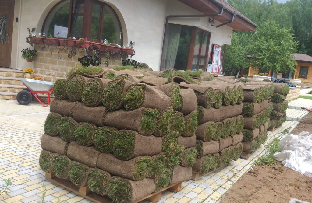 Укладка рулонного газона
