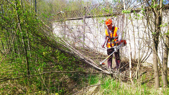 Вырубка кустарника