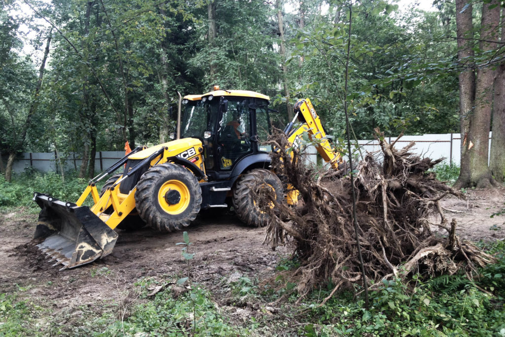 Корчевка и удаление пней