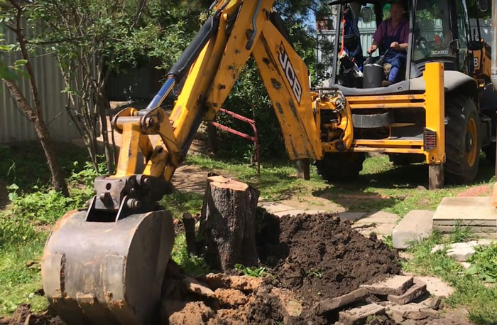 Корчевка и удаление пней