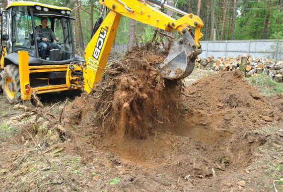 Корчевка и удаление пней
