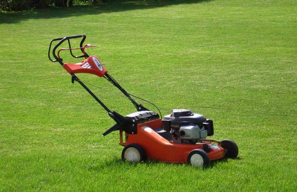 Покос травы триммером