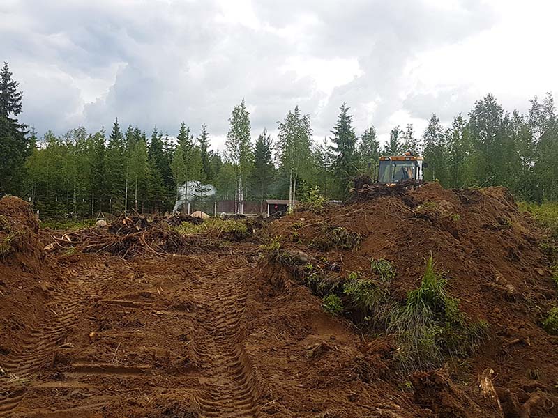 Раскорчевка участка