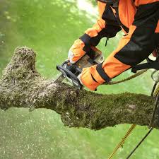 Снос и демонтаж домов