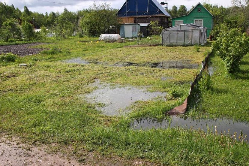 Лужи и стоячая вода на участке как признак высокого уровня грунтовых вод